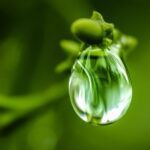 Los beneficios de la certificación B Corp para empresas de cosmética natural: ¡Destaca tu compromiso con la sostenibilidad!
