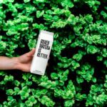 Cómo obtener el sello verde para tu fábrica de productos de limpieza sustentables