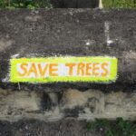 Conoce las agencias creativas que están marcando la diferencia en sostenibilidad