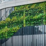 El poder del ejemplo: cómo las empresas sustentables en Dubái están marcando la pauta en marketing ecológico