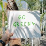 El poder del marketing regenerativo: conoce las agencias líderes en esta tendencia