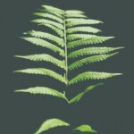 Certificaciones ecológicas: el diferenciador clave para empresas de impacto en la región LATAM