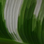 Certificaciones sostenibles: El camino hacia la innovación tecnológica verde en las empresas