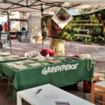 Haz Crecer tu Carrera Representando Agencias de Publicidad Verde Mexicana en el Mercado Español