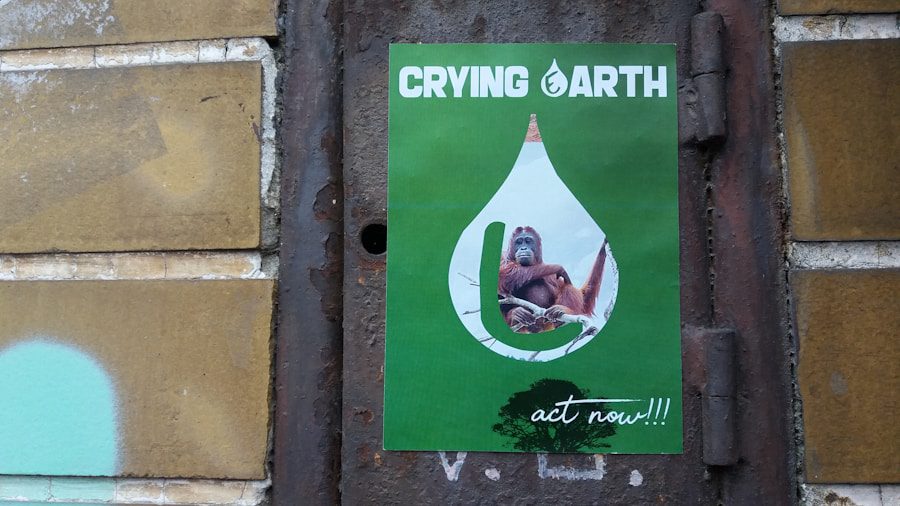 Greenwashing: cómo proteger a tu empresa de prácticas publicitarias engañosas