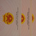 Un enfoque integral: Cómo las certificaciones holísticas benefician a las empresas internacionales