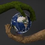 ¿Qué buscan las empresas al certificarse en sostenibilidad en América Latina?