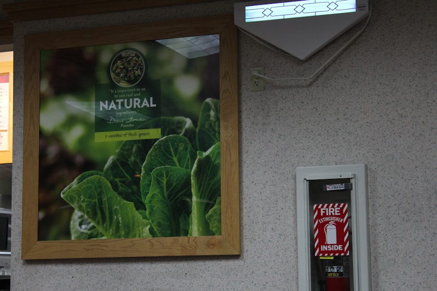 ¿Cómo saber qué certificación ecológica es la adecuada para tu mercado?